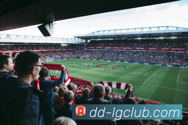 老哥俱乐部官网服务体系